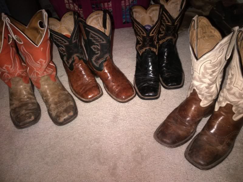 Square-toed boots... [Archive] - TexasBowhunter.com Community ...